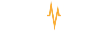 PayPulse Logo White